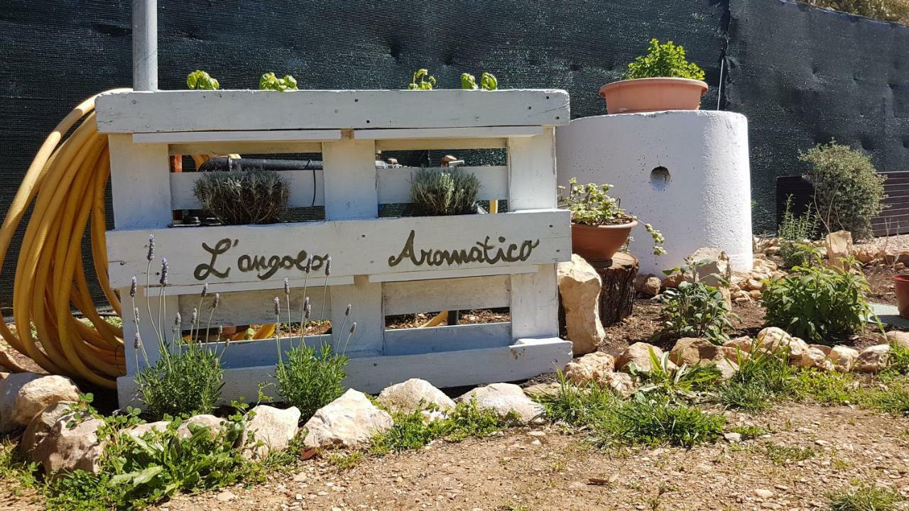 Guesthouse Pintadera Santa Maria la Palma Buitenkant foto