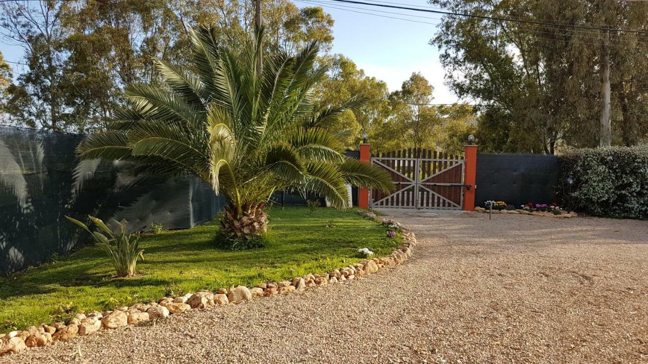 Guesthouse Pintadera Santa Maria la Palma Buitenkant foto