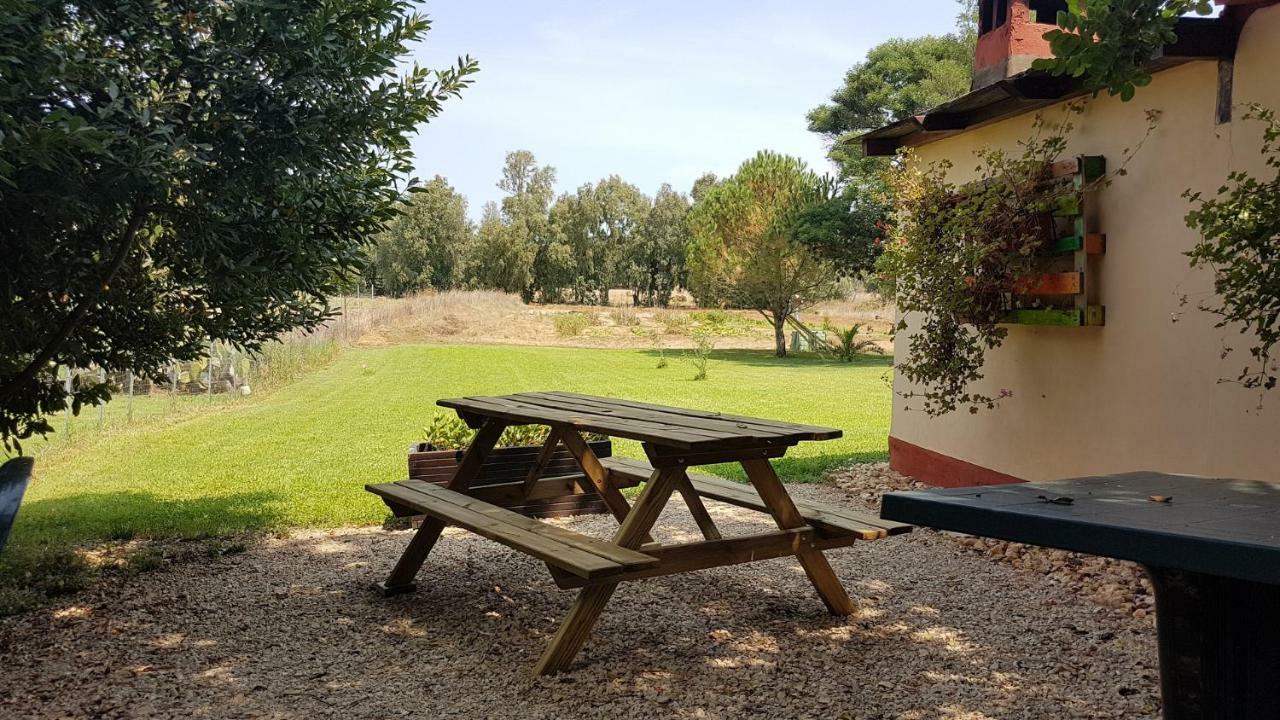 Guesthouse Pintadera Santa Maria la Palma Buitenkant foto